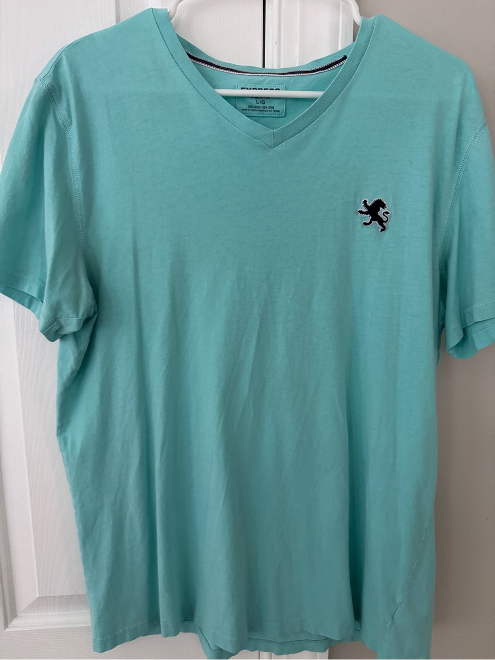 Express Men's Aqua V-Neck Short Sleeve Tee with Lion Crest